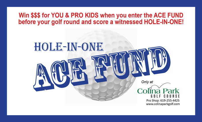 ace-fund-1