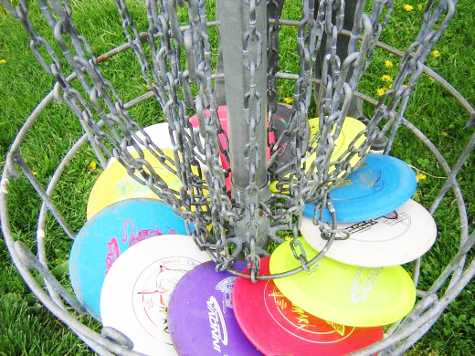 What Is Disc Golf Course